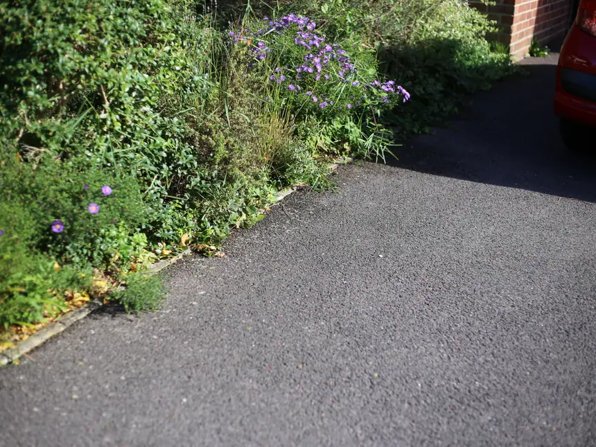 A tarmac driveway edged against planting
